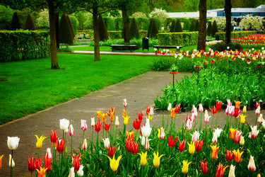 Similar image 13038535