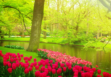 Similar image 13038714