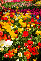 Similar image 13038816