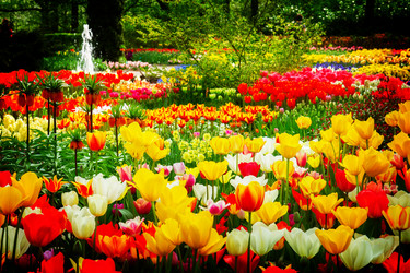 Similar image 13038833