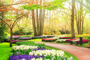 Similar image 13038935