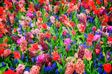 Similar image 13038971