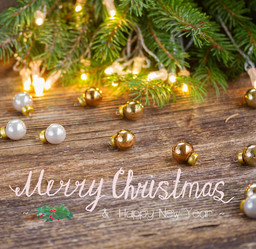 Similar image 13039082