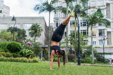 Similar image 13014078