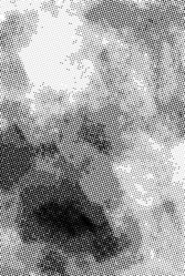 Similar image 13045481