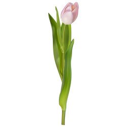 Similar image 13017652