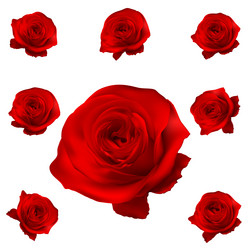 Similar image 13017718