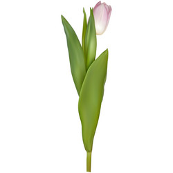 Similar image 13017588