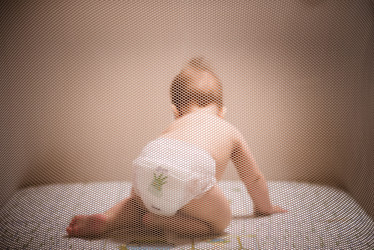 Similar image 13001484