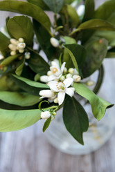 Similar image 13051361