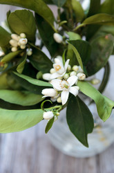 Similar image 13051800