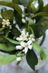 Similar image 13051819