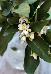 Similar image 13051820