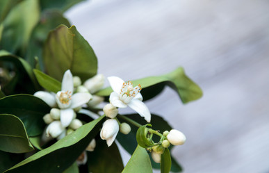 Similar image 13051821