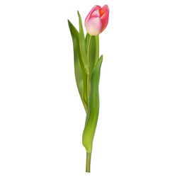 Similar image 13018088