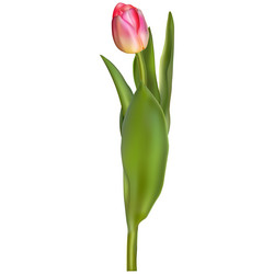 Similar image 13017868