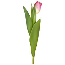 Similar image 13017870