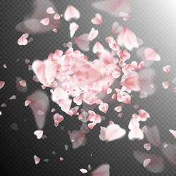 Similar image 13018454