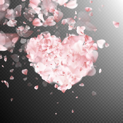 Similar image 13018455