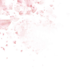 Similar image 13018489