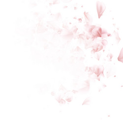 Similar image 13018273