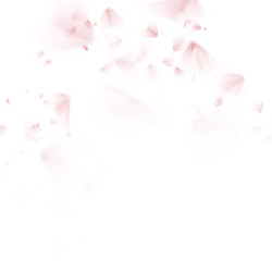 Similar image 13018274