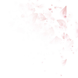 Similar image 13018506