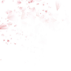 Similar image 13018507