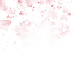 Similar image 13018534