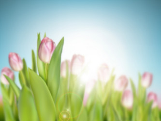 Similar image 13017474