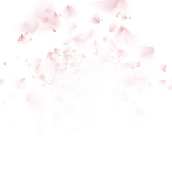 Similar image 13017187