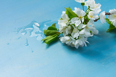 Similar image 13038416