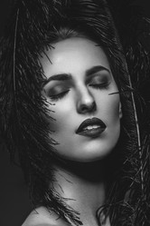 Similar image 13050246