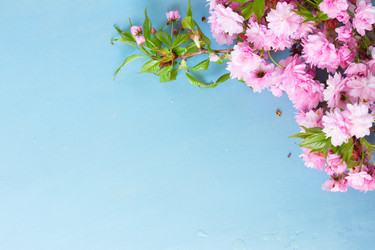 Similar image 13040123