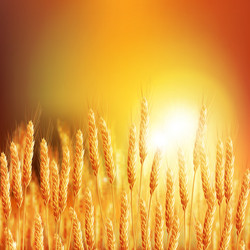 Similar image 13018126