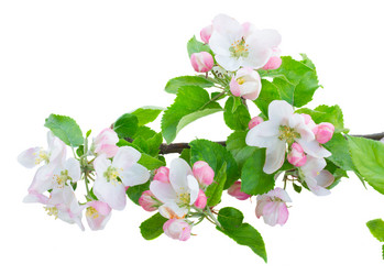 Similar image 13050567