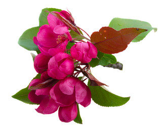 Similar image 13040124