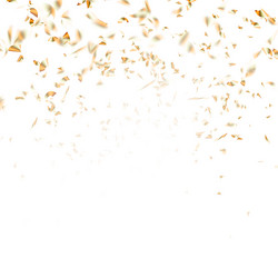 Similar image 13017283