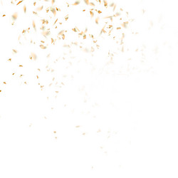 Similar image 13017285