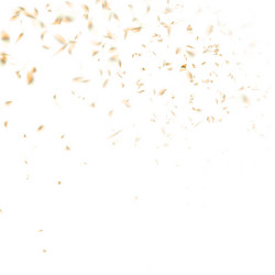 Similar image 13016856