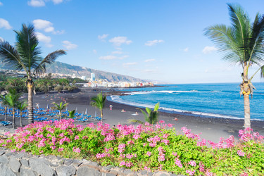 Similar image 13039301