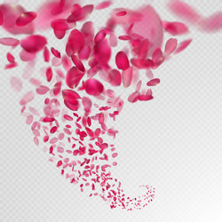 Similar image 13016974