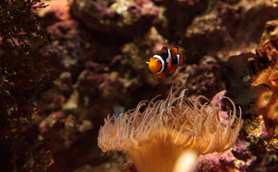 Similar image 13051566