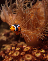 Similar image 13051568