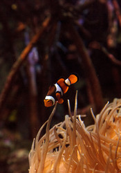 Similar image 13051570