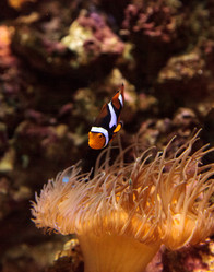 Similar image 13051225