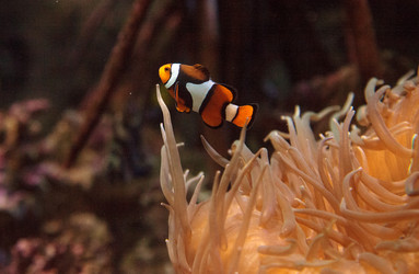 Similar image 13051228