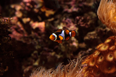 Similar image 13051229