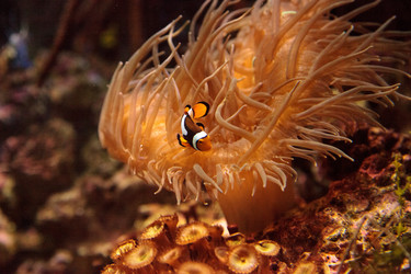 Similar image 13051243