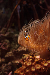 Similar image 13051600